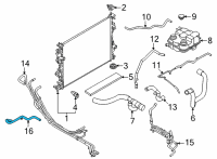 OEM 2020 Ford Escape HOSE - HEATER WATER Diagram - LX6Z-18472-HAD