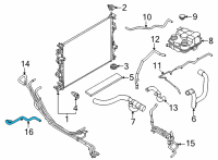 OEM Ford Maverick HOSE - HEATER WATER Diagram - LX6Z-18472-HAD