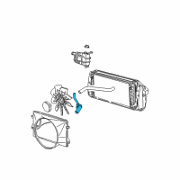 OEM 2000 Ford Expedition Lower Hose Diagram - XL1Z-8286-A