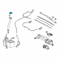OEM 2021 Toyota C-HR Reservoir Cap Diagram - 85316-F4010