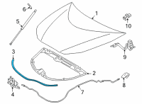 OEM 2016 Toyota Mirai Front Weatherstrip Diagram - 53381-62010