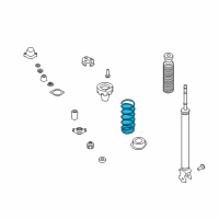 OEM Infiniti M45 Rear Suspension Spring Diagram - 55020-CR904