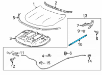 OEM 2022 Buick Envision Support Strut Diagram - 39161360