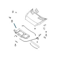 OEM 2008 Dodge Sprinter 2500 Hood Prop Diagram - 68009856AA