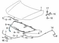 OEM 2022 Honda Civic STAY, HOOD OPEN Diagram - 74145-T20-A00