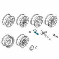 OEM 2017 Ford F-150 Wheel Lock Kit Diagram - FL1Z-1A043-A