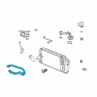 OEM Lincoln Lower Hose Diagram - 7L1Z-8286-A