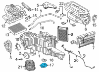 OEM 2017 Ford F-150 Adjust Motor Diagram - FL3Z-19E616-B