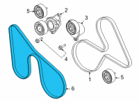 OEM 2021 Ford F-150 V-BELT Diagram - ML3Z-8620-B