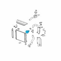 OEM 2009 Chevrolet HHR Radiator Outlet Hose (Lower) Diagram - 15940318