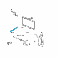 OEM 2002 Honda CR-V Hose, Water (Upper) Diagram - 19501-PNB-000