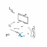 OEM 2005 Honda CR-V Hose, Water (Lower) Diagram - 19502-PNB-000