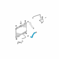 OEM 2010 Nissan Versa Hose-Radiator, Lower Diagram - 21503-EL000