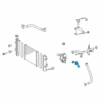 OEM Toyota Tacoma Thermostat Unit Diagram - 16031-0P010