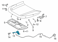 OEM 2022 Toyota Corolla Cross Latch Assembly Diagram - 53510-0A070