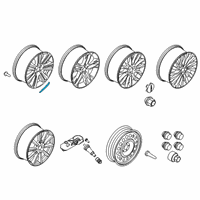 OEM 2016 Lincoln MKC Wheel, Alloy Insert Diagram - EJ7Z-1003-A