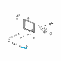 OEM Acura Hose, Water (Lower) Diagram - 19505-RWC-A00