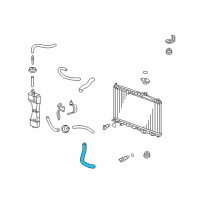 OEM 2011 Honda CR-Z Hose, Water (Lower) Diagram - 19502-RBJ-000