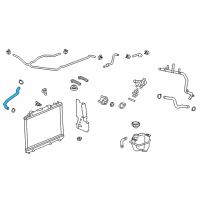 OEM 2012 Cadillac CTS Lower Hose Diagram - 20914855