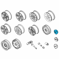 OEM Ford Mustang Center Cap Diagram - 5R3Z-1130-B