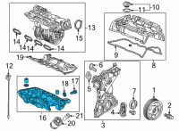 OEM 2017 Honda Civic Pan Assembly, Oil Diagram - 11200-5BA-A00