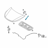 OEM 2022 Hyundai Santa Fe Lifter-Hood Diagram - 81161-S1000