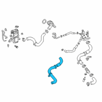 OEM 2020 Toyota RAV4 Lower Hose Diagram - 16571-F0120