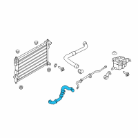 OEM 2014 Ford Explorer Lower Hose Diagram - BB5Z-8286-G