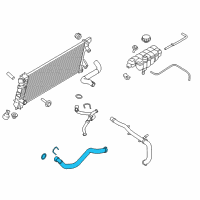 OEM 2015 Ford F-150 Lower Hose Diagram - FL3Z-8286-A