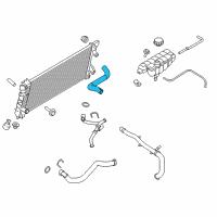 OEM 2020 Ford F-150 Upper Hose Diagram - FL3Z-8260-A