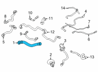 OEM 2020 BMW X5 Hose Radiator-Water Pump Diagram - 17-12-7-536-486