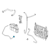 OEM Dodge Charger Clamp-Hose Diagram - 52029091AA
