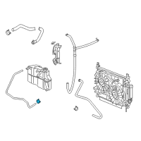 OEM 2022 Ram 1500 Clamp-Hose Diagram - 52029091AA