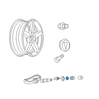 OEM 2008 Buick LaCrosse Seal, Tire Pressure Indicator Sensor Diagram - 15921680