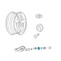 OEM Chevrolet Equinox Tire Sensor Washer Diagram - 15921679