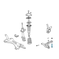 OEM Toyota Echo Lower Control Arm Rear Bolt Diagram - 90119-12337