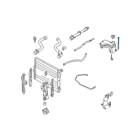 OEM 2002 BMW M3 Expansion Tank Hose Diagram - 17-22-2-246-036