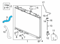 OEM Acura TLX HOSE, WATER (UPPER) Diagram - 19501-6S8-A00