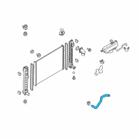 OEM Infiniti FX35 Hose-Radiator, Lower Diagram - 21503-1CB0A