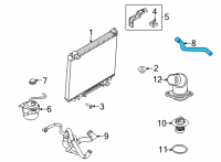 OEM 2018 Ford E-350 Super Duty Upper Hose Diagram - HC2Z-8260-D