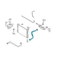 OEM 2006 Hyundai Azera Hose Assembly-Radaator, Lower Diagram - 25415-3L200