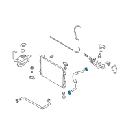 OEM 2020 Kia Rio Clamp-Hose Diagram - 253312P044