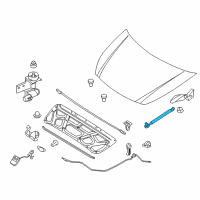 OEM 2007 Kia Sedona Lifter-Hood, LH Diagram - 811614D000DS