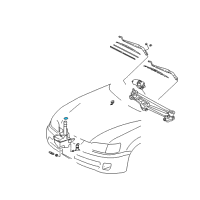 OEM Lexus Cap, Washer, A Diagram - 85316-06021