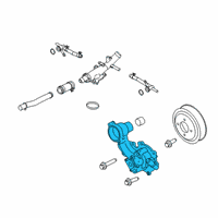 OEM 2016 Lincoln MKX Water Pump Assembly Diagram - FT4Z-8501-C