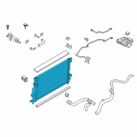 OEM Ford C-Max Radiator Diagram - DM5Z-8005-A