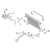 OEM 2019 Ford F-350 Super Duty Lower Hose Clamp Diagram - HC3Z-8W287-B