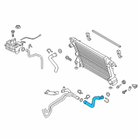 OEM 2017 Ford F-350 Super Duty Lower Hose Diagram - HC3Z-8286-D