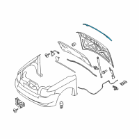 OEM 2010 Ford Flex Front Weatherstrip Diagram - 8A8Z-16B990-A