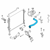 OEM 2022 Ford Mustang Upper Hose Diagram - JR3Z-8260-B